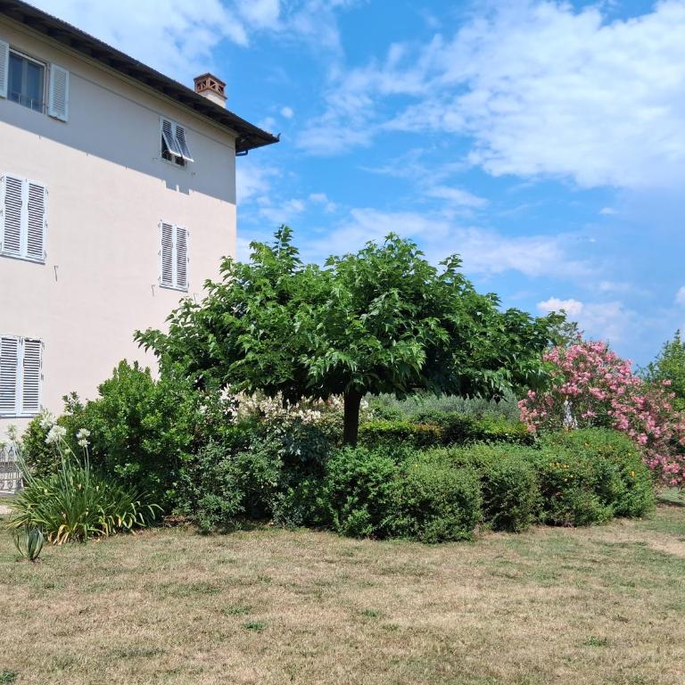 La cantina di Tonino - Appartamento - 11