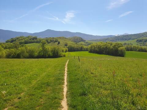 Grande maison entre montagne et campagne - Villa - 50
