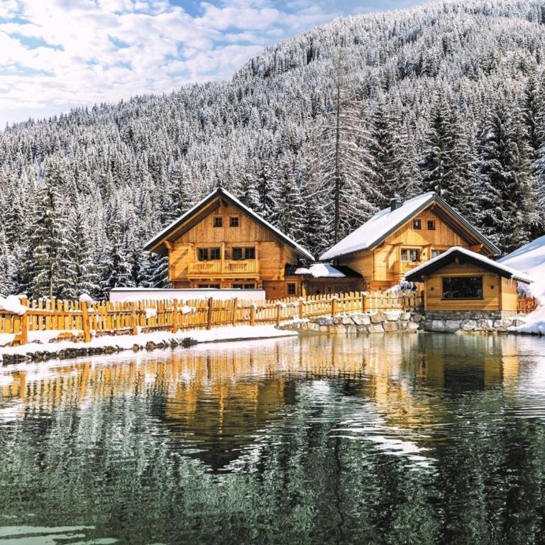 Bergseegut Chalets 1 - Maison de Vacances - 2