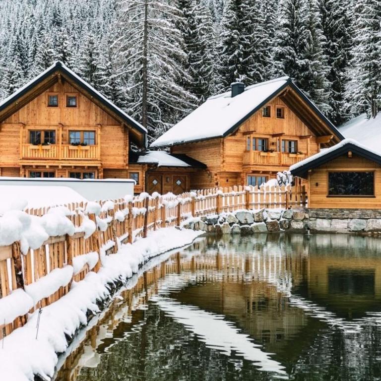 Bergseegut Chalets 1 - Maison de Vacances - 3