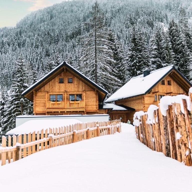Bergseegut Chalets 1 - Maison de Vacances - 4
