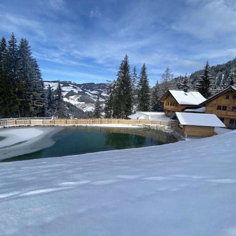 Bergseegut Chalets 1 - Maison de Vacances - 5
