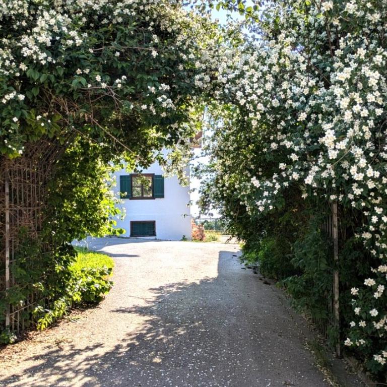 Ferienwohnung Facettenreich - Apartment mit 2 Schlafzimmern und Aussicht - 9