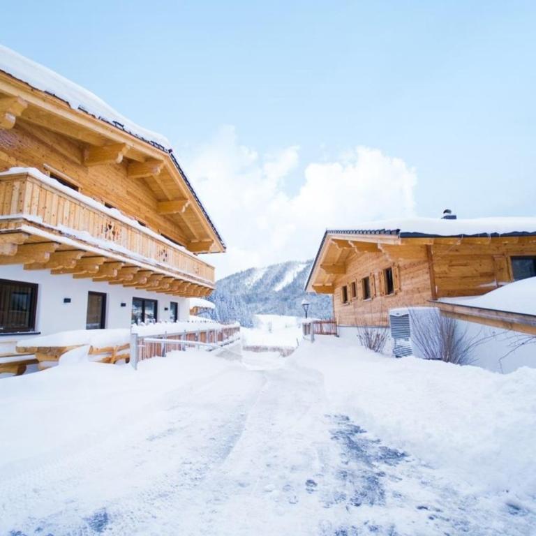 Premium Chalet Dachstein 1 - Maison de Vacances - 3