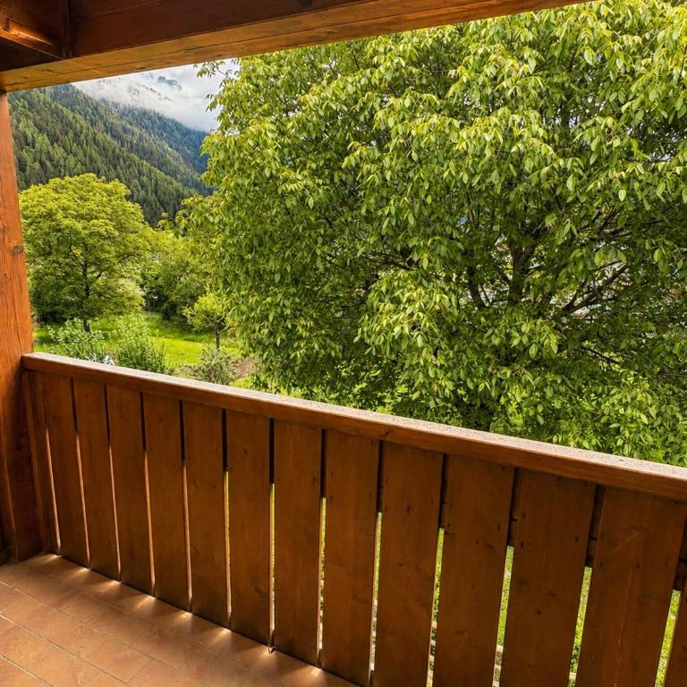 Dolomiti Alpine Jewel, Trentino Alto Adige - Appartamento con 2 Camere da Letto - 18