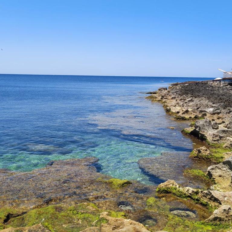 Villa Fedalù mare relax tramonti vicino Palermo - Villa - 36