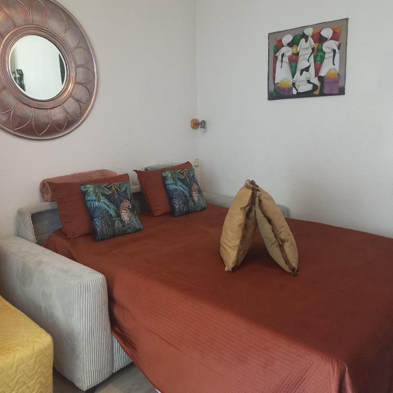 Studio SAFARI - Appartement 1 Chambre - 3