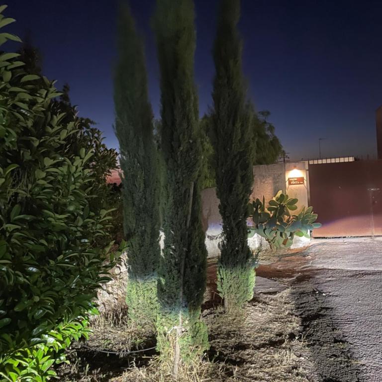 Dimora la Pinta ‘700 - Villa con 2 Camere da Letto - 30