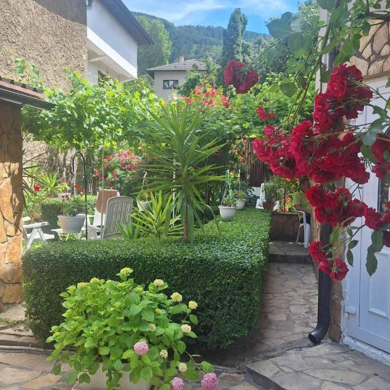 Modern&Cozy Bosnian house with GARDEN+FREE parking - Deluks Jednokrevetna Soba - 11