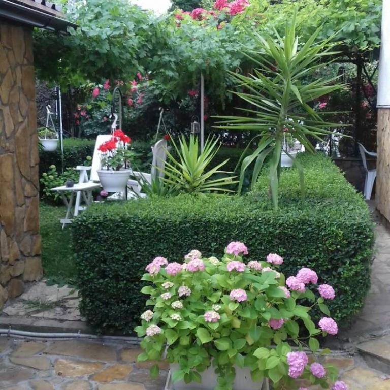 Modern&Cozy Bosnian house with GARDEN+FREE parking - Deluks Jednokrevetna Soba - 12