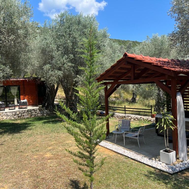 Olive grove Sofias Garden - Kuća sa 2 Spavaće Sobe - 2