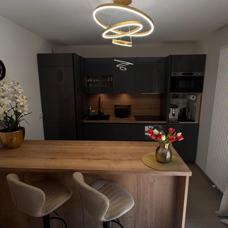 Sous les Capucines - Appartement 1 Chambre - 7