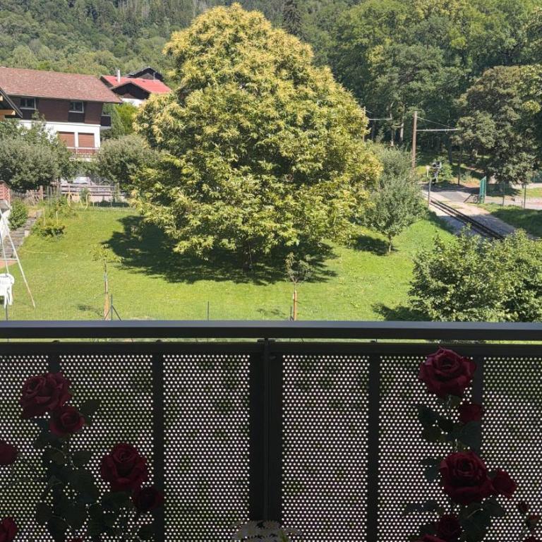 Sous les Capucines - Appartement 1 Chambre - 11