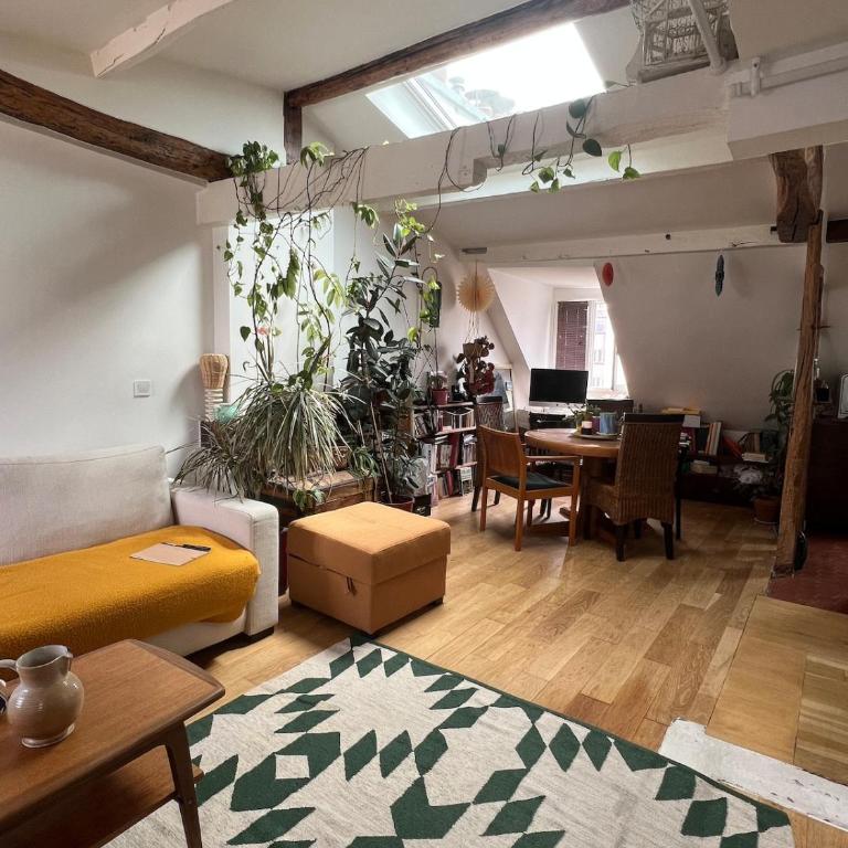 Bright, cosy & quiet apartment 10th arrondissement - Apartamento de 2 dormitorios - 5