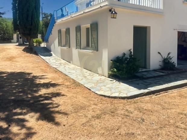 Maison authentique avec jardin centre Calvi - Apartamento de 2 dormitorios - 11