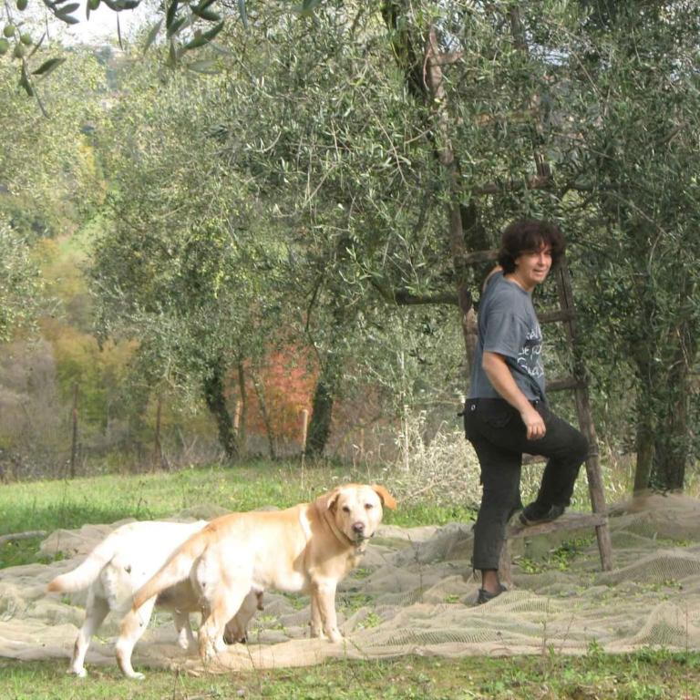 Farmhouse in front of Siena, 2rooms & pool - Appartamento con 2 Camere da Letto - 2