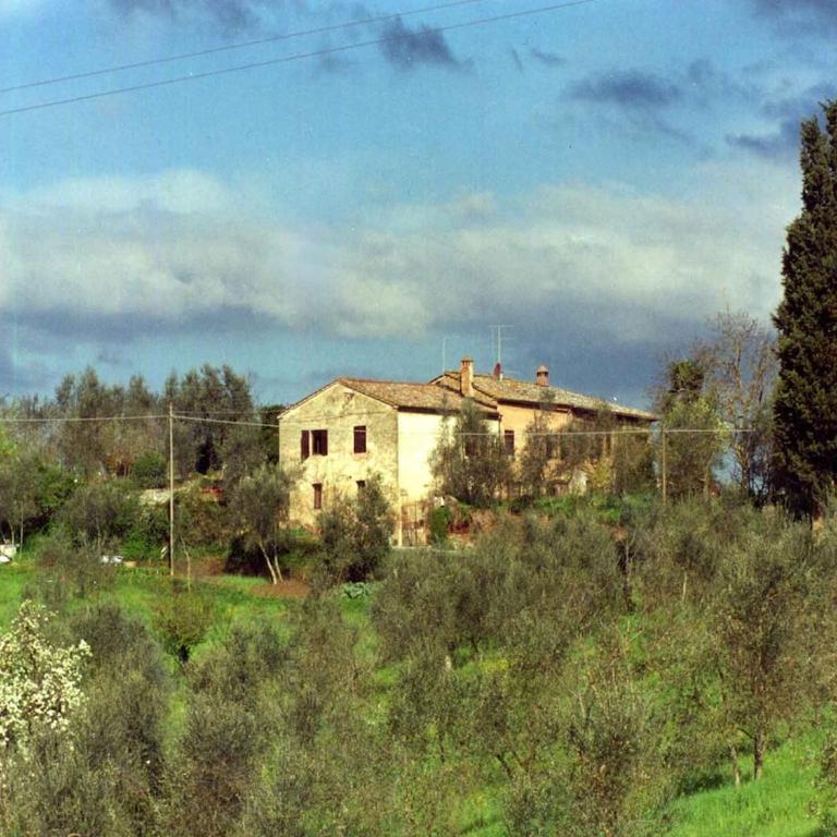 Farmhouse in front of Siena, 2rooms & pool - Appartamento con 2 Camere da Letto - 4