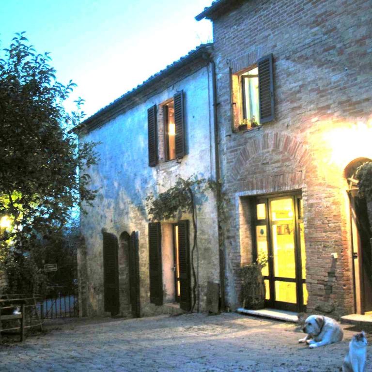 Farmhouse in front of Siena, 2rooms & pool - Appartamento con 2 Camere da Letto - 19