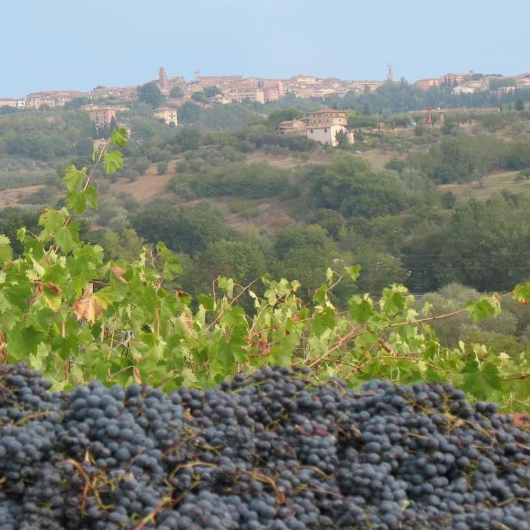 Farmhouse in front of Siena, 2rooms & pool - Appartamento con 2 Camere da Letto - 24