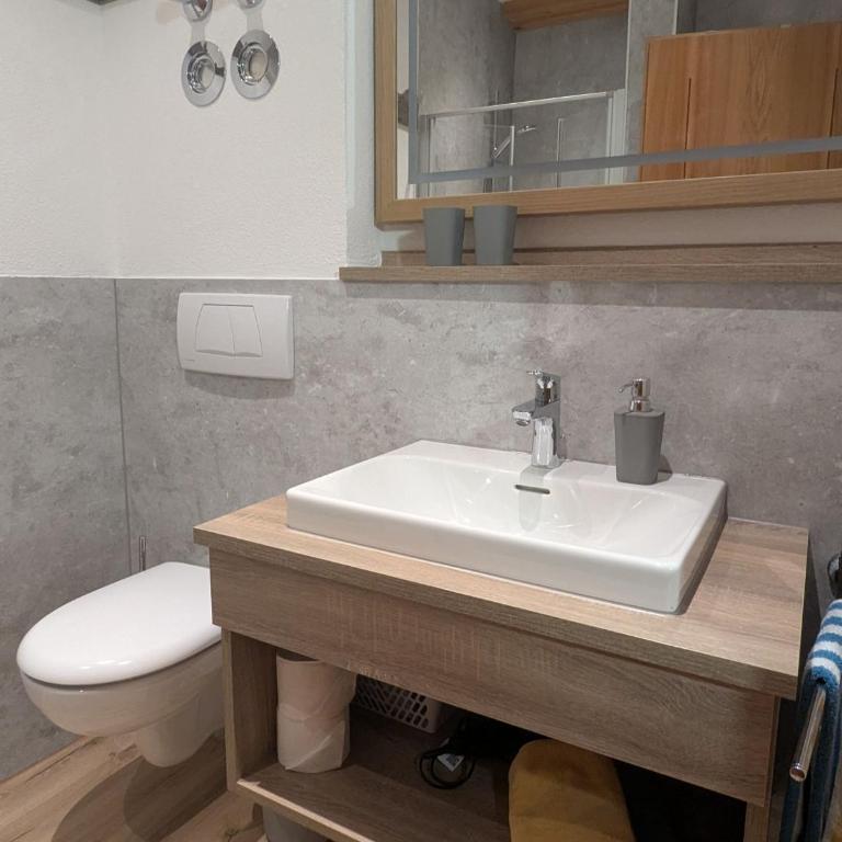 Ferienhof Miller - Apartment mit 1 Schlafzimmer, Balkon und Bergblick - 10