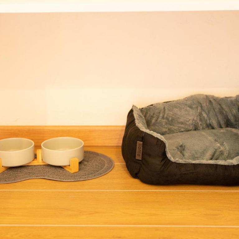500 secret garden: luce, design e anima torinese nel cuore di via Mazzini - Appartamento - 21