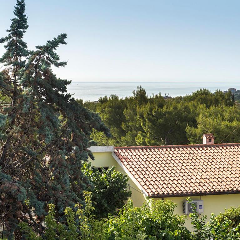 N235 - Numana, ampio appartamento con terrazzo vista mare - Appartamento - 26