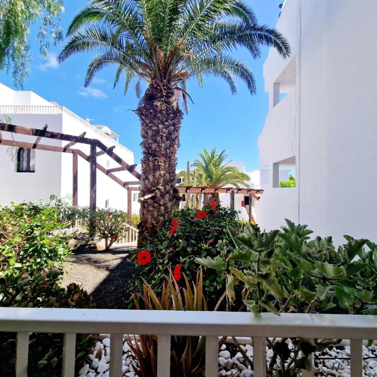 Teguisol Breeze en Costa Teguise - Apartamento de 1 dormitorio - 5