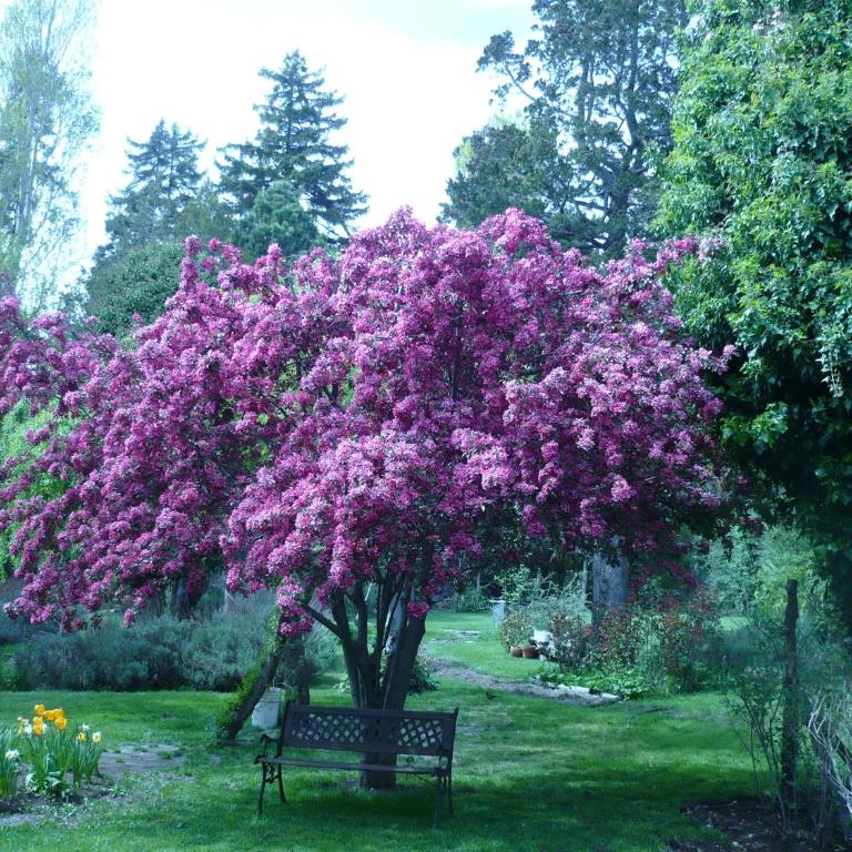 El lugar de la Flor - Casa Unifamiliar de 3 dormitorios - 19