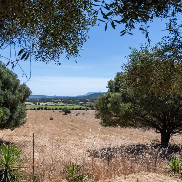 Agriturismo Gli Antichi Olivastri Casa Rosmarino - Appartamento con 1 Camera da Letto - 16