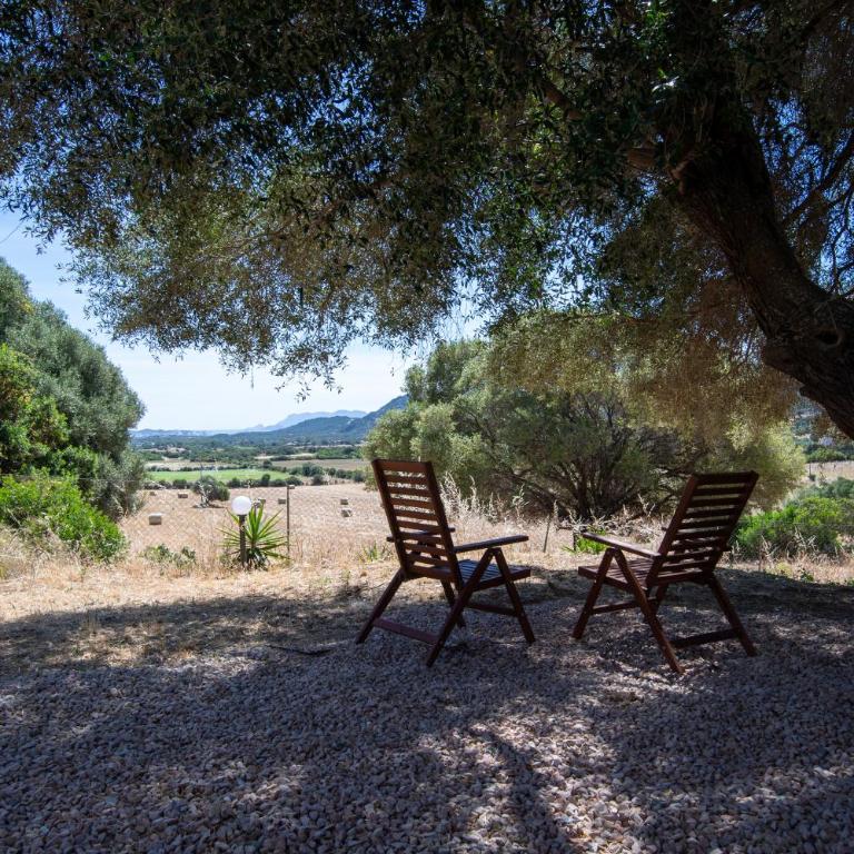 Agriturismo Gli Antichi Olivastri Casa Rosmarino - Appartamento con 1 Camera da Letto - 14