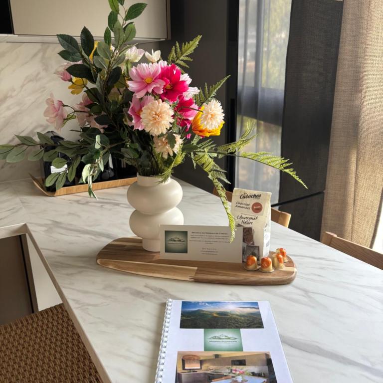 Résidence les 3 volcans 4 étoiles - Appartement 1 Chambre - 9