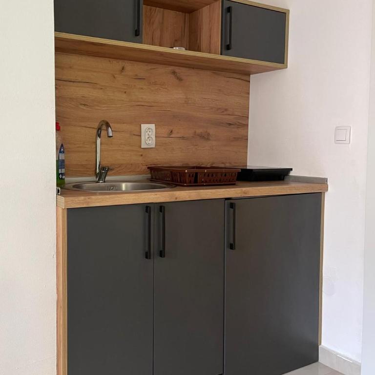 Apartmani Dinastija Zivkovic - Apartman sa 2 Spavaće Sobe - 2