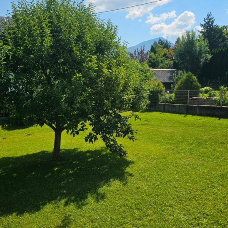Ferienhaus - Hoamathaus - Haus mit 3 Schlafzimmern - 49
