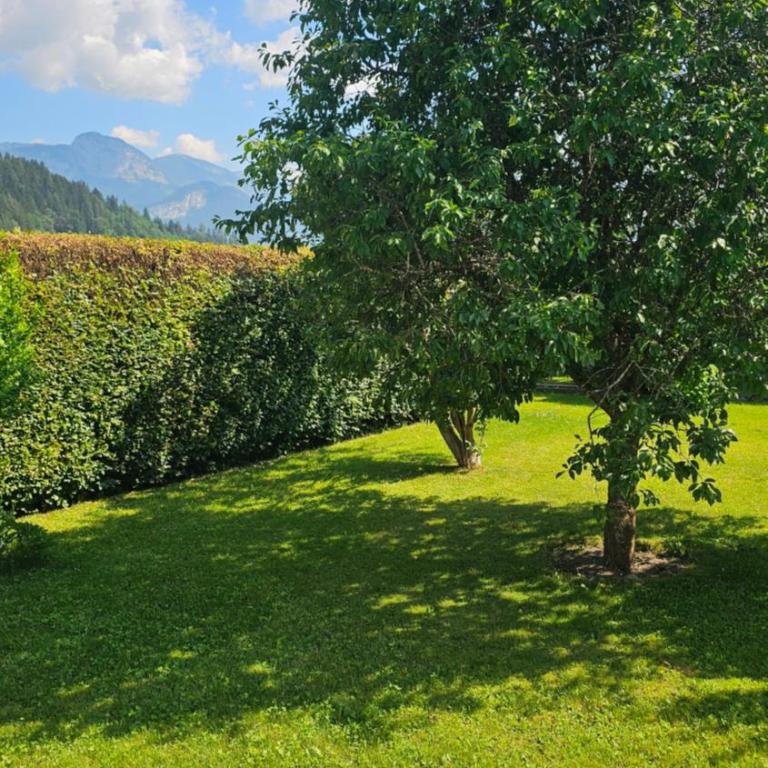 Ferienhaus - Hoamathaus - Haus mit 3 Schlafzimmern - 50