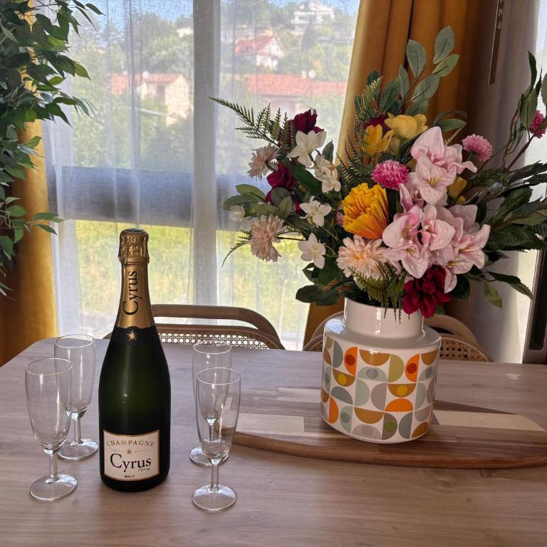 Résidence les 3 volcans 4 étoiles - Appartement 1 Chambre - 4