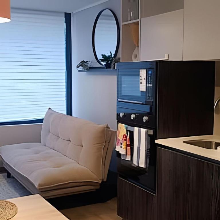 AR Charming Apartment in Downtown Santiago - One-Bedroom Deluxe Apartment - 52