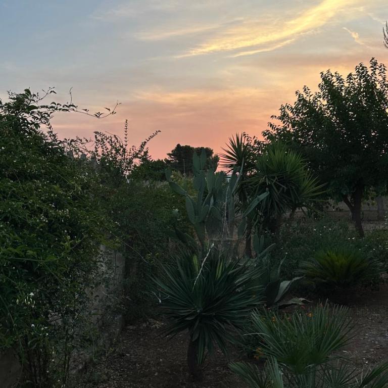 Li Geusi - Villa con Vista Giardino - 21