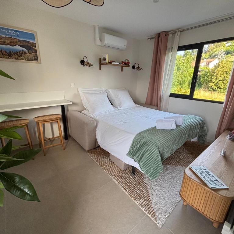 Résidence les 3 volcans 4 étoiles - Studio Lit King-Size avec Canapé-Lit - 5