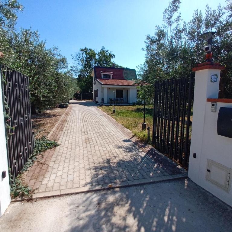 VILLA FICURINIA Castellammare del Golfo con Piscina ad uso esclusivo - Villa con Piscina Privata - 26