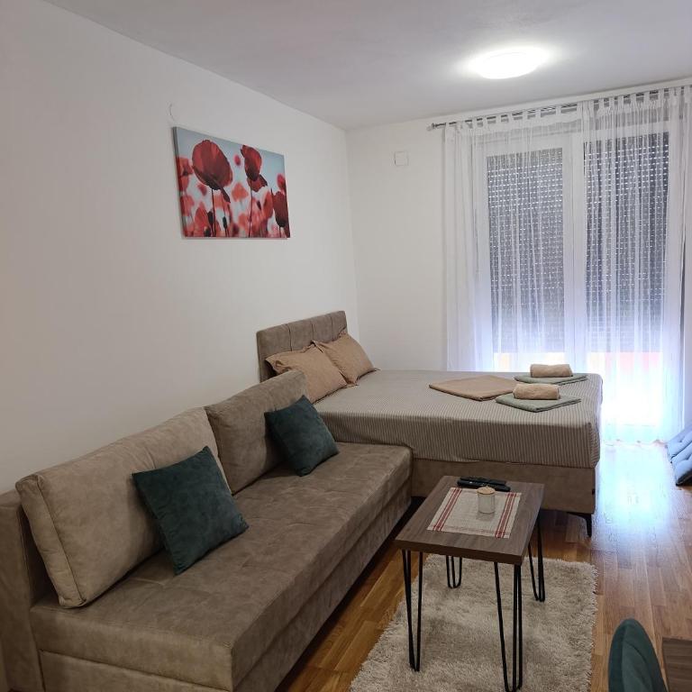Apartment Laki - Studio Apartman s Balkonom - 15