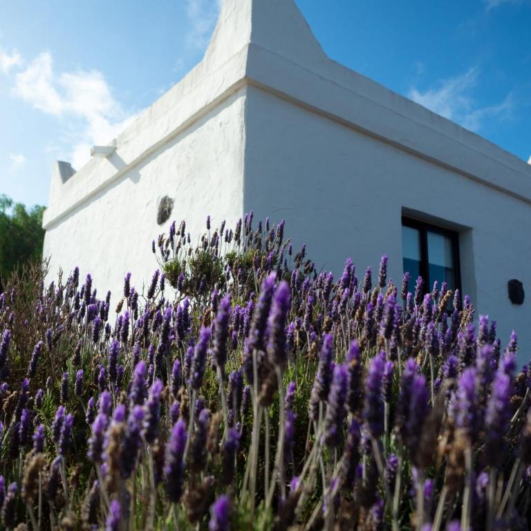 La Casita II - Casa de 2 dormitorios - 22