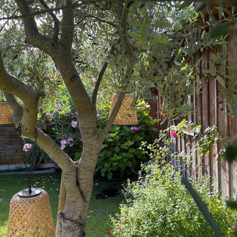 Pleasant Family house with swimming pool - Maison de Vacances - 30