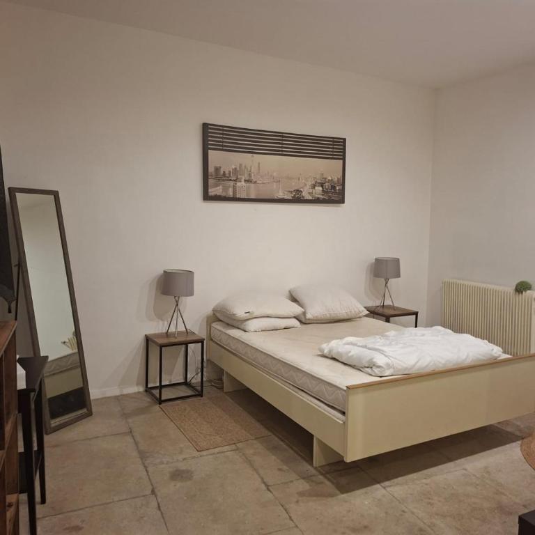 T2 charmant de 43m centre ville - Apartment mit 1 Schlafzimmer - 1