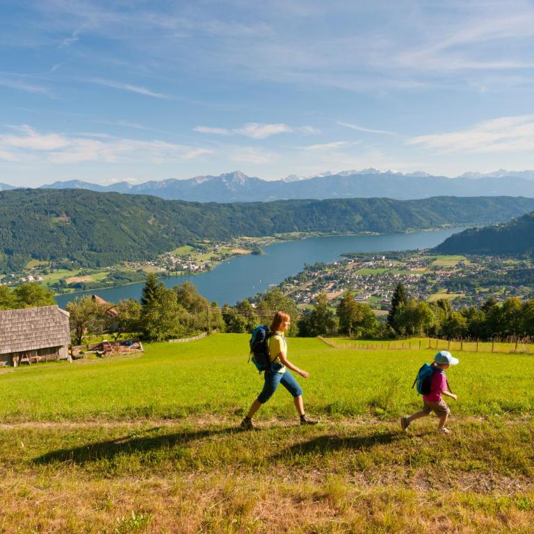 Mathiasl Panorama Ferienwohnungen - Apartment mit 1 Schlafzimmer und Wohnzimmer - 39