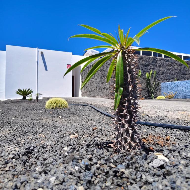 Villas Rodríguez - Villa de 2 dormitorios - 22