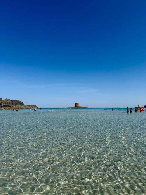 Dolce Vita Stintino - Two-Bedroom Apartment - 35