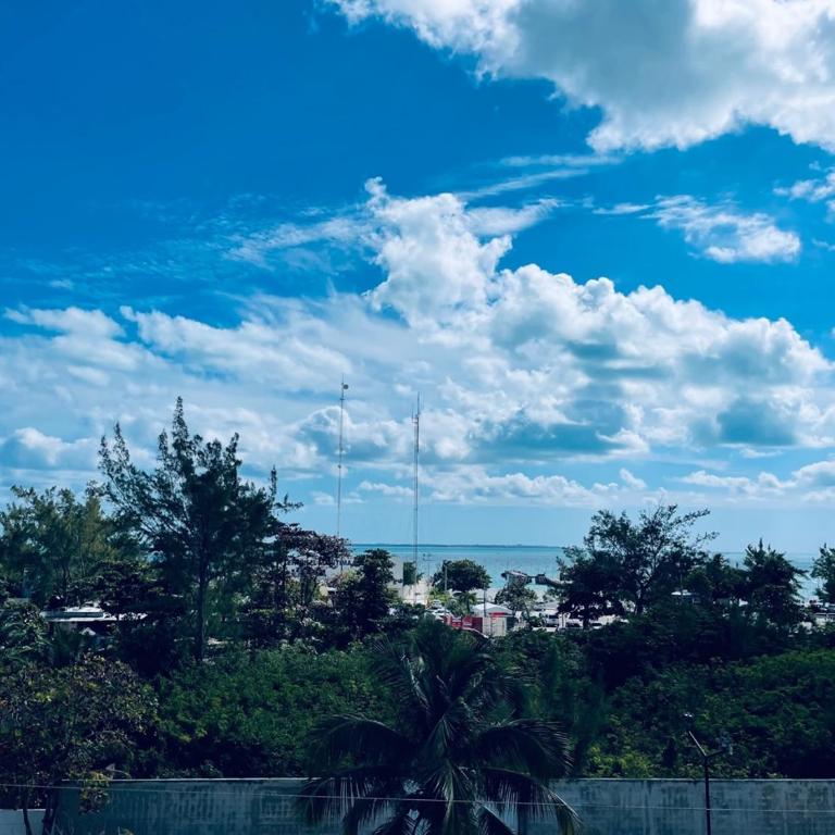 Economic Apartments & Rooms next to the beach - Apartamento de 2 dormitorios con balcón - 18
