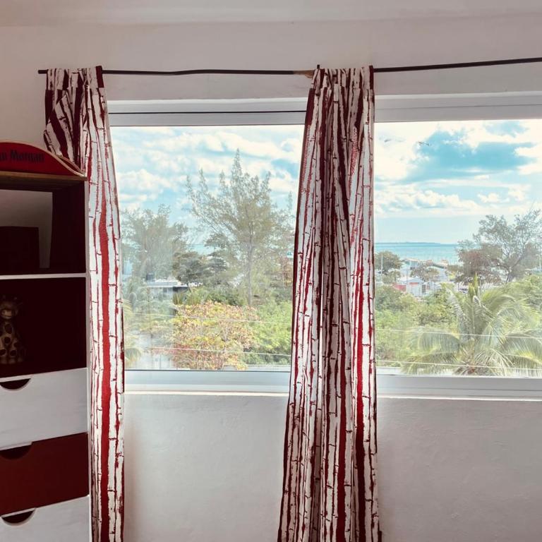 Economic Apartments & Rooms next to the beach - Apartamento de 2 dormitorios con balcón - 17