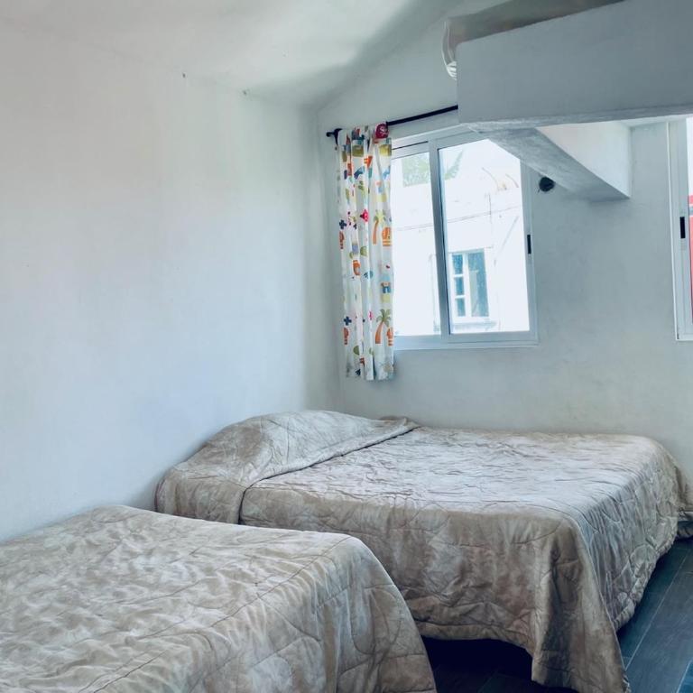Economic Apartments & Rooms next to the beach - Apartamento de 2 dormitorios con balcón - 14