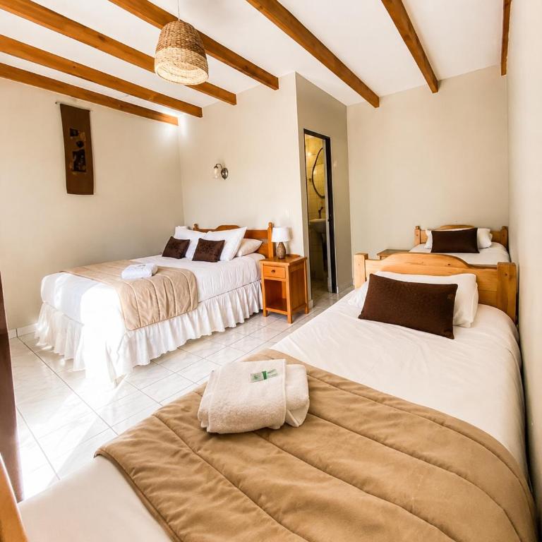 Lodge Don Julio - Habitación Cuádruple con baño privado - 1